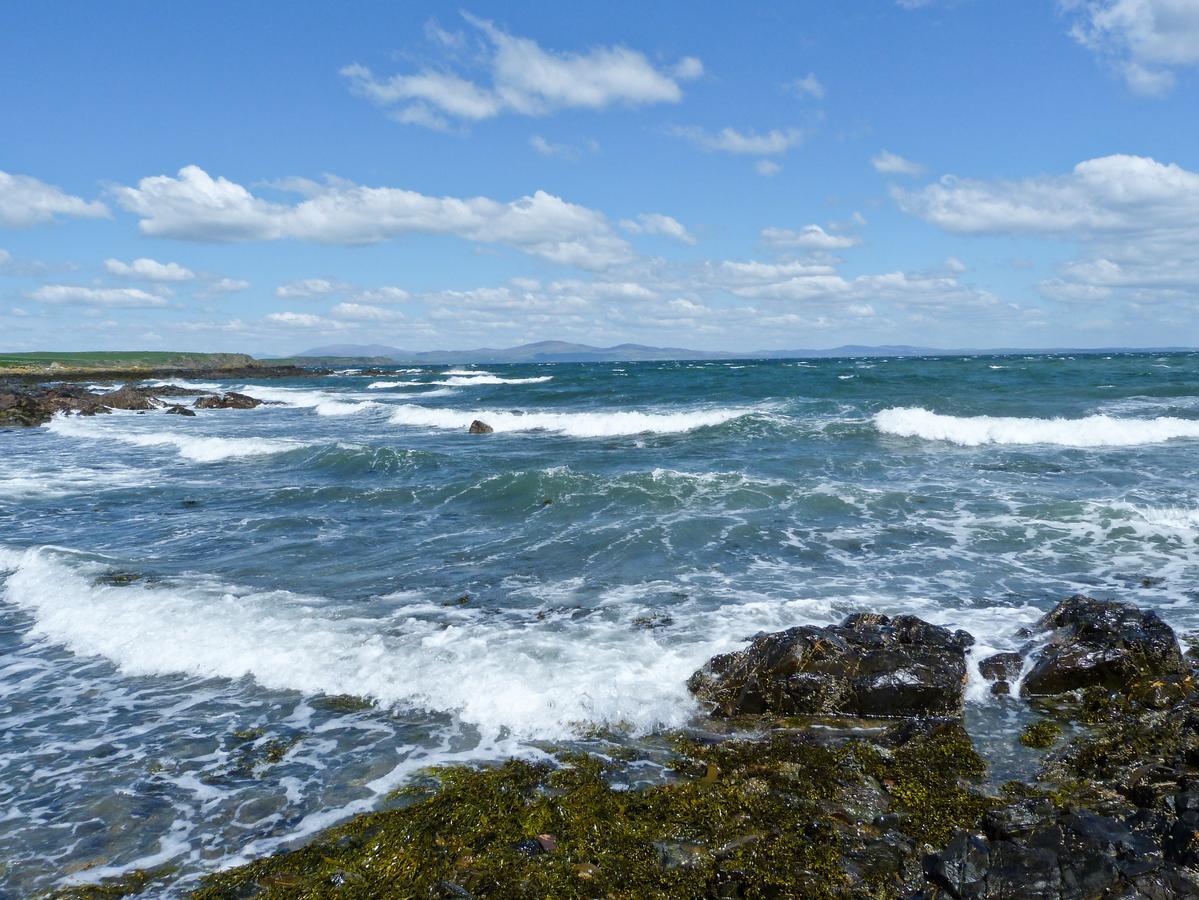 Torkeld Holiday Cottage Garlieston المظهر الخارجي الصورة